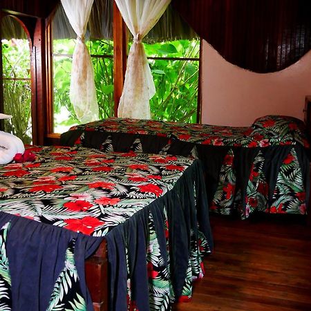 Banana Bank Lodge & Jungle Horseback Adventures Belmopan Zewnętrze zdjęcie