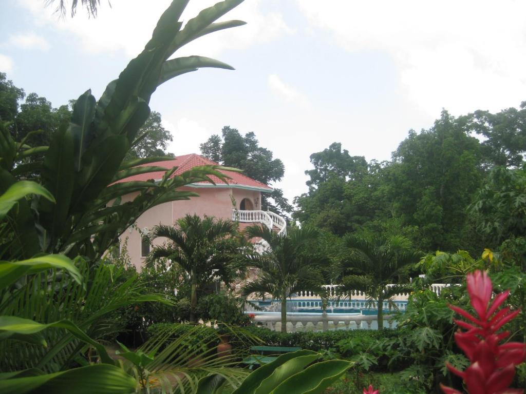 Banana Bank Lodge & Jungle Horseback Adventures Belmopan Zewnętrze zdjęcie