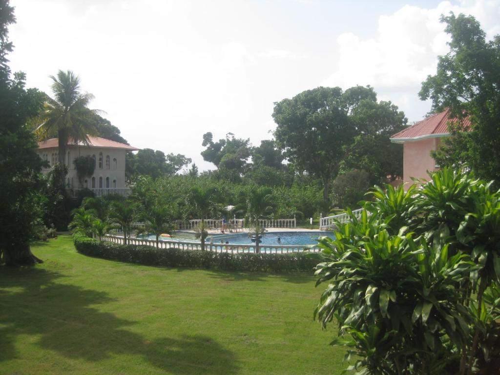 Banana Bank Lodge & Jungle Horseback Adventures Belmopan Zewnętrze zdjęcie