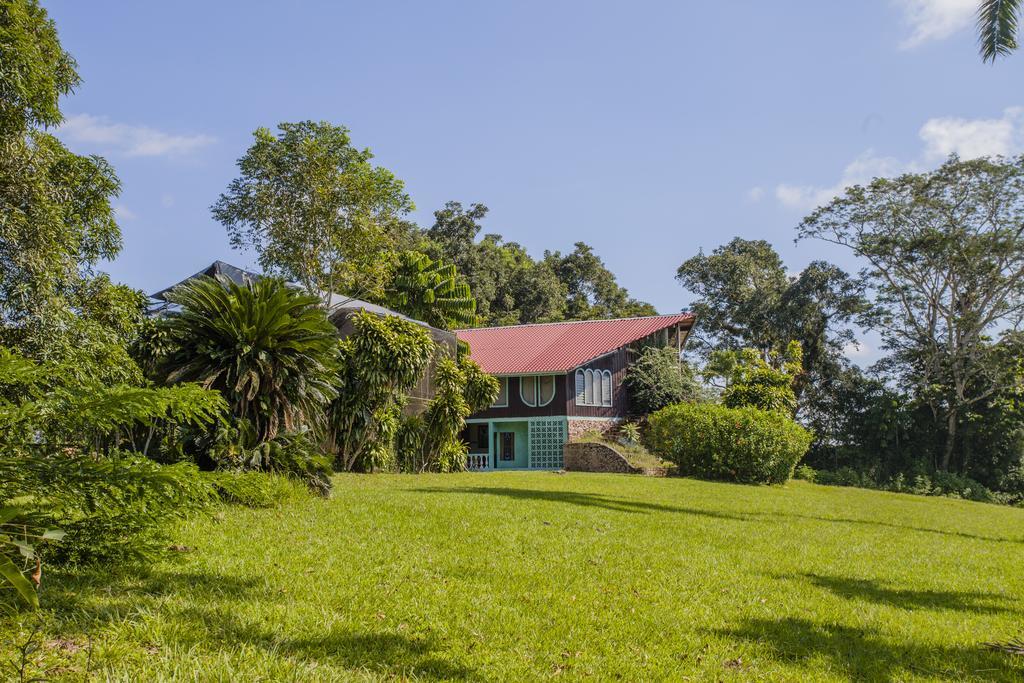 Banana Bank Lodge & Jungle Horseback Adventures Belmopan Zewnętrze zdjęcie