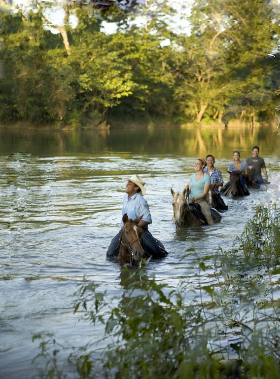 Banana Bank Lodge & Jungle Horseback Adventures Belmopan Zewnętrze zdjęcie