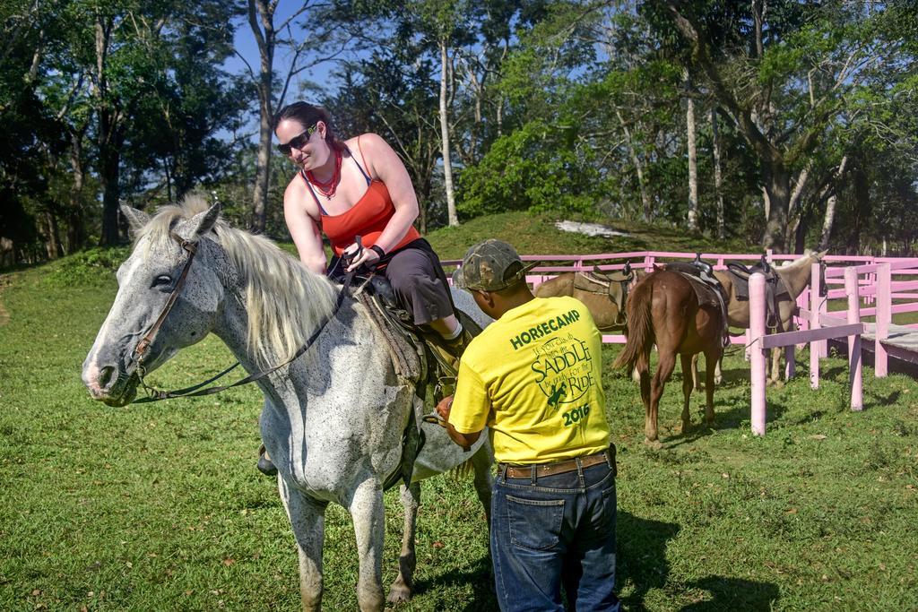 Banana Bank Lodge & Jungle Horseback Adventures Belmopan Zewnętrze zdjęcie