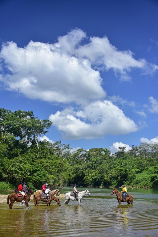 Banana Bank Lodge & Jungle Horseback Adventures Belmopan Zewnętrze zdjęcie